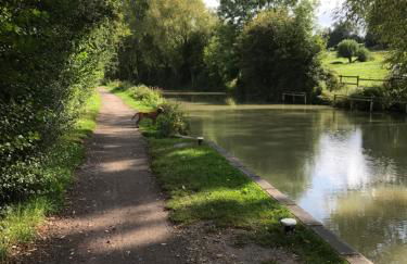 Rew Farm Country & Equestrian Accommodation - Sunrise Lodge - Foto 37