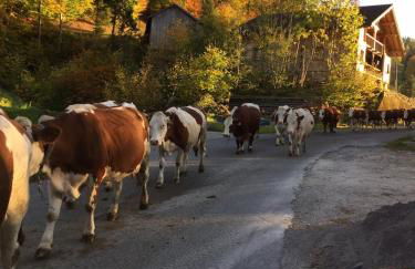 Chalet la Cabane d'Ernestine, petit-déjeuner inclus - Foto 68