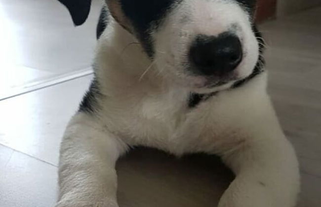 Huus Meta Modern Retreat - Foto 14