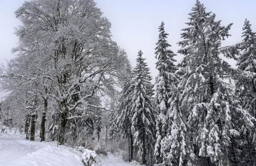 Holiday Home Haus Schneekopf by Interhome - Foto 29