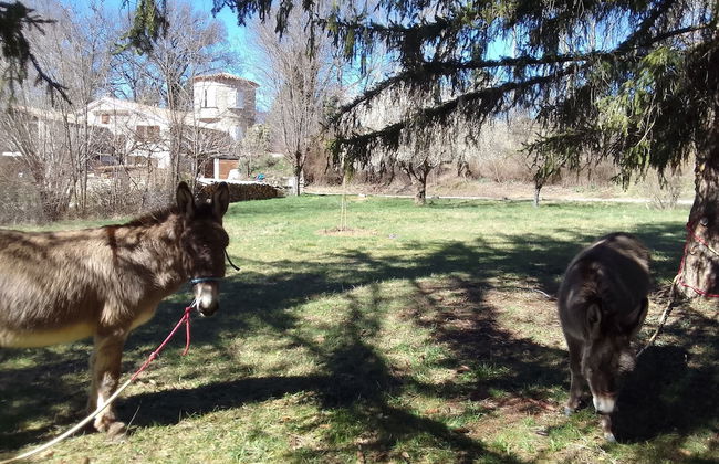 Les Favouilles, le gîte pour 15 personnes - Foto 121