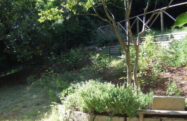 Agriturismo La Casa della Lavanda - Il Casale - Foto 63