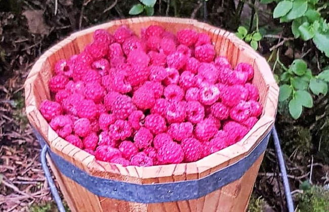 6 Person Holiday Home in Trollhattan - Foto 16