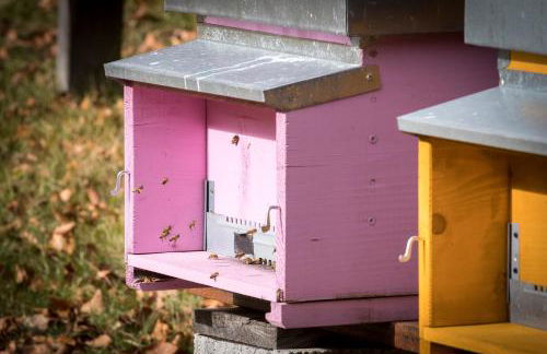 Agritur Ciasa Dò Parè - Foto 27