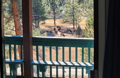 Cozy Mountain Home with Great Views, Deck & WiFi - Photo 31