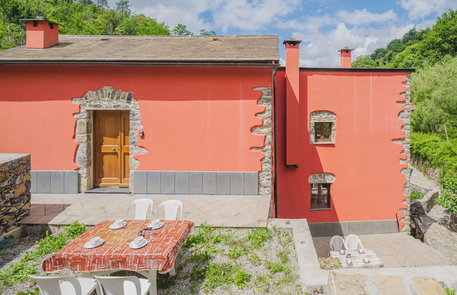 Ciliegiolo - Foto 22