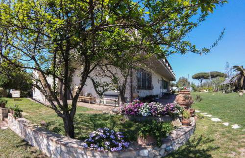 Villa Enli - Foto 23