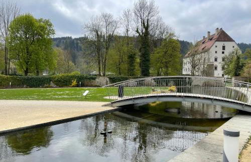 Apartment Wildbert mit Blick auf die Donau, nur Feriengäste willkommen, keine Arbeiterunterkunft! - Foto 23
