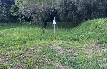 Il Poggio nel verde - Foto 13