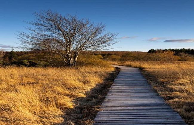 Cosy, 1800 Farmhouse With Sauna - Foto 38