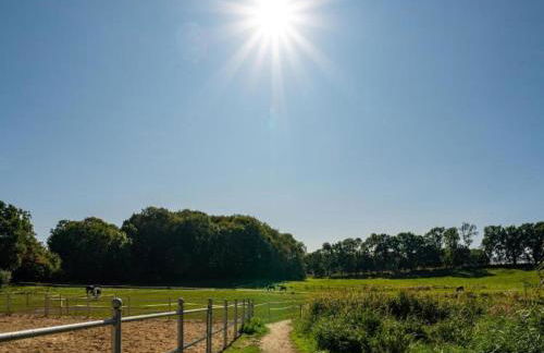 Ferienwohnung mit Terrasse in Kropelin - Foto 22