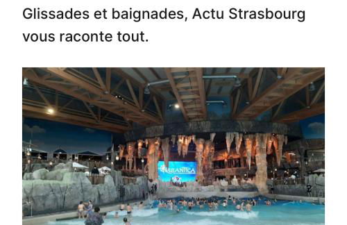 Location grand MH proche europa park 4 personnes - Foto 37