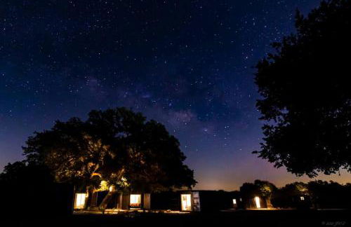 The Container Retreat @290 Wine Trail #3 Hill Country bliss - Foto 8