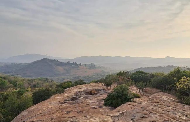 AtNature Luxury Self Catering Cottages - Photo 62