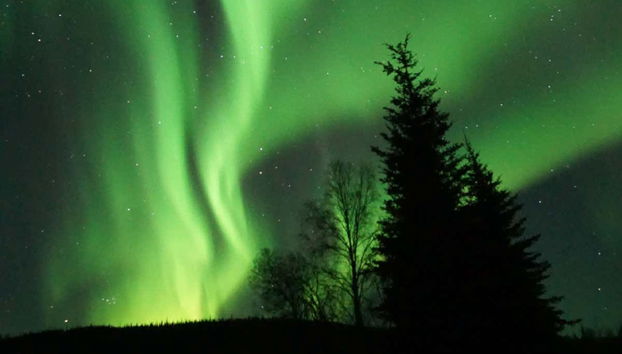 Les aurores boréales