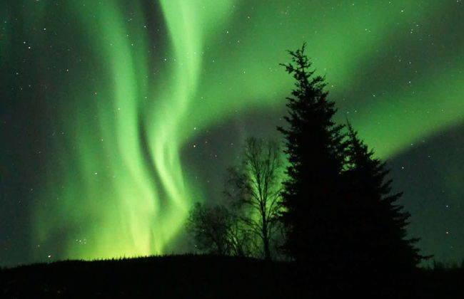 Tour dell'aurora boreale e attraversamento del Circolo Polare Artico - Foto 2
