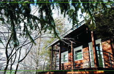 Domek Zielony Widok - noclegi Bieszczady - Foto 50