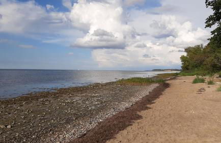 OSTSEE-Ferienhaus RAMONA - am Strand & ruhig - Foto 17