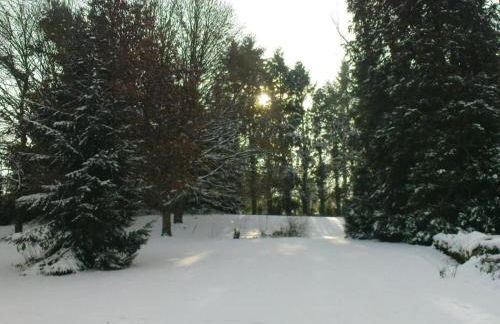 Holiday Home in Limousin near Forest - Foto 38