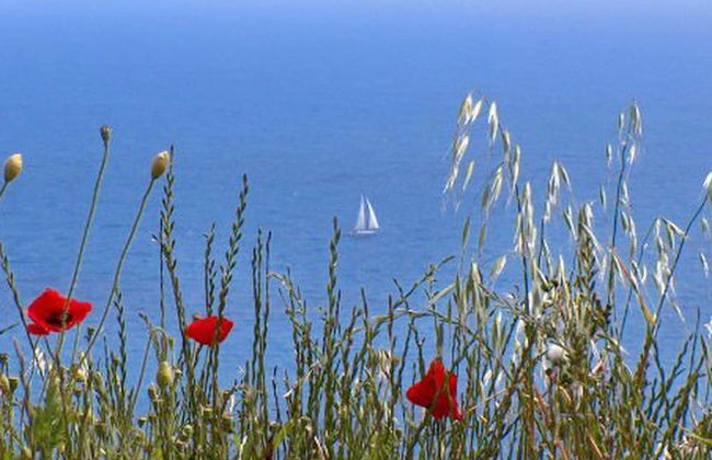 Apartment Danijela Mljet - Foto 18