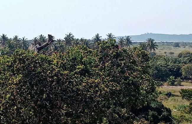 Restaurante Calor Tropical - Photo 72