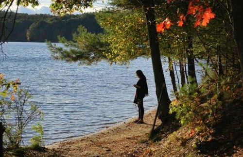 Harvard House-The Gathering Place - Foto 44