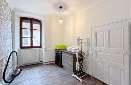 grand appartement centre-ville - Foto 13