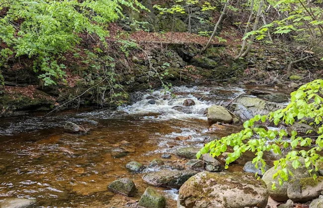 Classic Holiday Home in Harz near Braunlage Ski Area - Foto 24