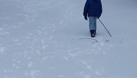 La Arbolada - Foto 3