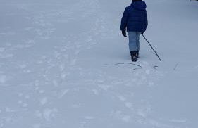 La Arbolada - Foto 3