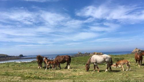 Maison de caractère à 3km de la mer - Foto 2