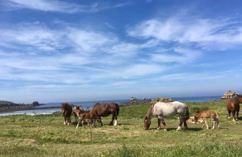 Maison de caractère à 3km de la mer - Foto 2
