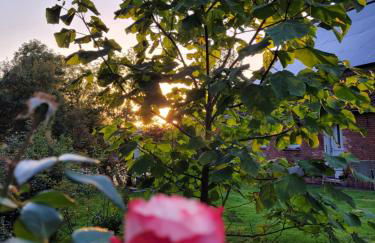 Gulfhof Anelis - Foto 34