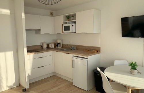 Carnac superbe appt 4 pers vue exceptionnelle sur la mer - Foto 5