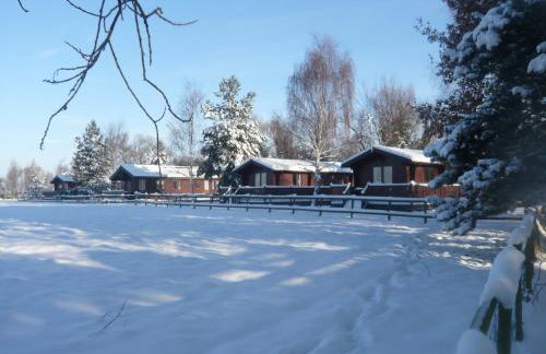 Cottage in Brookland Near Romney Marsh - Photo 45