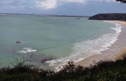 Comme un poisson dans l'eau - Photo 20