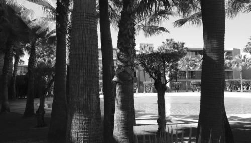 Herdade dos Salgados - 2 Bedroom - Foto 2