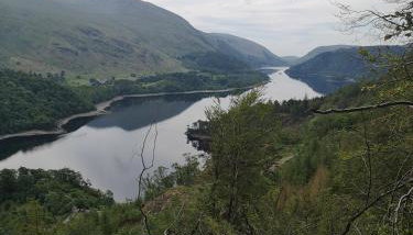 Shepherds hut Dolly wagon - Foto 5