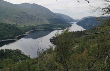 Shepherds hut Dolly wagon - Foto 5