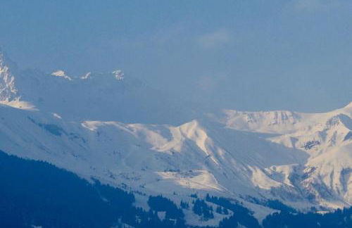 Chalet montagne Savoie Domaine Skiable Valmorel - Foto 26