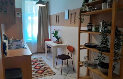 Spacious Home in Old-West - Leutsch - Foto 21