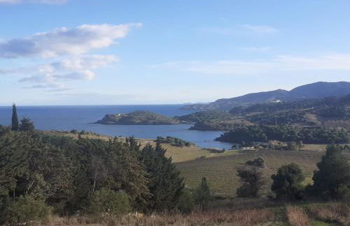 Chez Jean-Luc - Foto 15