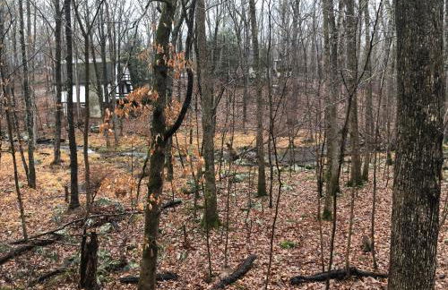 Cozy Cottage at Saw Creek - Foto 5