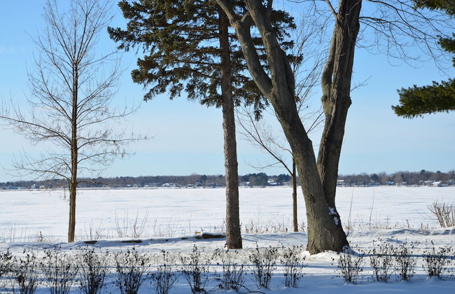 Château Venise - Foto 66