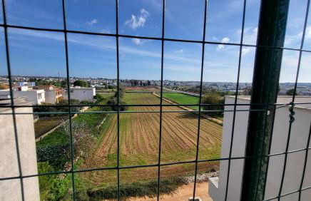 Vacanze a Ruffano - Foto 26