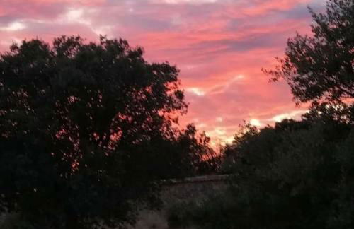 Finca Montechico by Sharingco - Foto 20