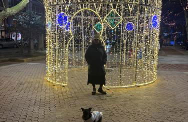 Un jardín en Santander - Foto 20
