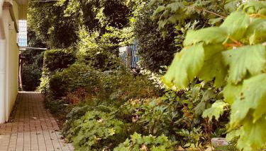 Waldhaus Harz, Natur pur mit Pool, Sauna und traumhaften Garten - Foto 3
