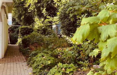 Waldhaus Harz, Natur pur mit Pool, Sauna und traumhaften Garten - Foto 3