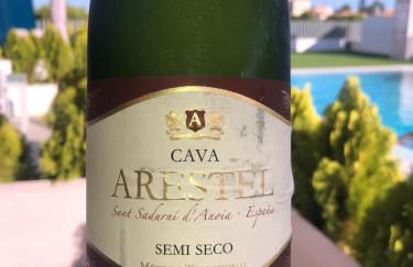 Palmview Poolside Heaven in Turquesa del Mar - Foto 37